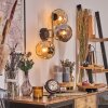 Ripoll Wandleuchte Glas 15 cm Gold, Schwarz, 3-flammig
