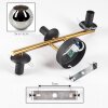 Ripoll Wandleuchte Glas 15 cm Gold, Schwarz, 3-flammig