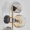 Ripoll Wandleuchte Glas 15 cm Gold, Schwarz, 3-flammig