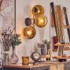 Koyoto Wandleuchte Glas 15 cm Gold, Schwarz, 3-flammig