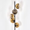 Koyoto Stehleuchte Glas 15 cm Gold, Klar, 5-flammig