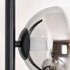 Koyoto Stehleuchte Glas 15 cm Chrom, Klar, Rauchfarben, 5-flammig
