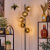 Ripoll Stehleuchte Glas 15 cm Gold, Klar, 5-flammig