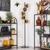 Ripoll Stehleuchte Glas 15 cm Gold, Klar, 5-flammig