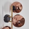 Ripoll Wandleuchte Glas 15 cm Gold, Schwarz, 3-flammig