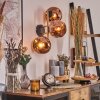Ripoll Wandleuchte Glas 15 cm Gold, Schwarz, 3-flammig