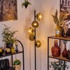 Ripoll Stehleuchte Glas 15 cm Gold, Klar, 5-flammig