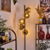 Ripoll Stehleuchte Glas 15 cm Gold, Klar, 5-flammig