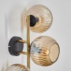 Ripoll Wandleuchte Glas 15 cm Gold, Schwarz, 3-flammig