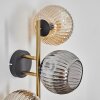 Ripoll Wandleuchte Glas 15 cm Gold, Schwarz, 3-flammig