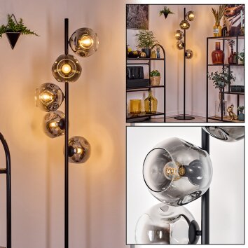 Ripoll Stehleuchte Glas 15 cm Chrom, Klar, Rauchfarben, 5-flammig Ripoll Stehleuchte Glas 15 cm Chrom, Klar, Rauchfarben, 5-flammig