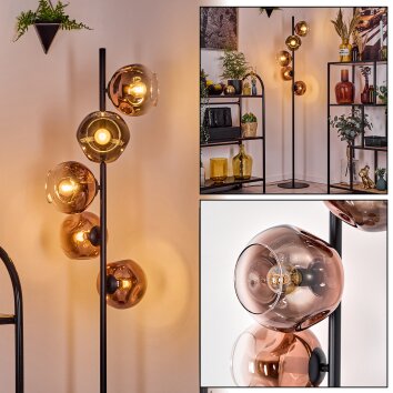 Ripoll Stehleuchte Glas 15 cm Klar, Kupferfarben, 5-flammig