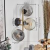 Ripoll Wandleuchte Glas 15 cm Gold, Schwarz, 3-flammig