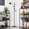 Koyoto Stehleuchte Glas 15 cm Klar, 4-flammig