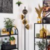 Koyoto Stehleuchte Glas 15 cm Gold, Klar, 4-flammig