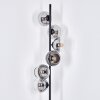 Koyoto Stehleuchte Glas 15 cm Klar, Rauchfarben, 6-flammig