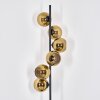 Koyoto Stehleuchte Glas 15 cm Gold, 6-flammig