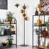 Koyoto Stehleuchte Glas 15 cm Gold, Klar, 4-flammig
