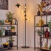 Koyoto Stehleuchte Glas 15 cm Klar, 4-flammig