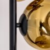 Ripoll Stehleuchte Glas 15 cm Gold, Klar, 6-flammig