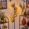 Ripoll Stehleuchte Glas 15 cm Gold, Klar, 6-flammig