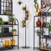 Ripoll Stehleuchte Glas 15 cm Gold, Klar, 6-flammig