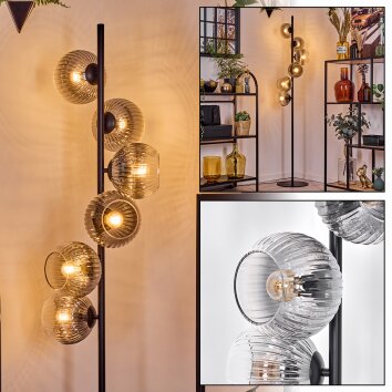 Koyoto Stehleuchte Glas 15 cm Klar, Rauchfarben, 6-flammig