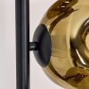 Ripoll Stehleuchte Glas 15 cm Gold, 6-flammig