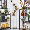 Ripoll Stehleuchte Glas 15 cm Gold, 6-flammig