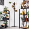 Ripoll Stehleuchte Glas 15 cm Gold, 4-flammig
