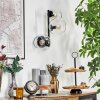 Koyoto Wandleuchte Glas 15 cm Klar, 3-flammig
