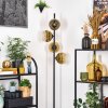 Ripoll Stehleuchte Glas 15 cm Gold, Klar, 4-flammig