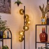 Koyoto Stehleuchte Glas 15 cm Gold, Klar, 6-flammig