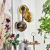 Ripoll Wandleuchte Glas 15 cm Gold, Klar, 3-flammig