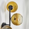 Koyoto Wandleuchte Glas 15 cm Gold, Klar, 3-flammig
