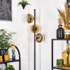 Koyoto Stehleuchte Glas 15 cm Gold, Klar, 3-flammig