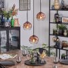 Ripoll Hängeleuchte Glas 15 cm Klar, Kupferfarben, 3-flammig