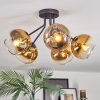 Koyoto Deckenleuchte Glas 15 cm Gold, Klar, 5-flammig