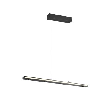 Trio Graham Pendelleuchte LED Schwarz, 8-flammig