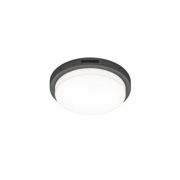 Trio BERMEJO Deckenleuchte LED Anthrazit, 1-flammig, Bewegungsmelder