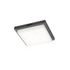 Trio BERMEJO Deckenleuchte LED Anthrazit, 1-flammig, Bewegungsmelder