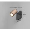 Trio Gillan Wand- und Deckenspot Braun, 1-flammig