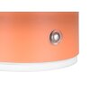 Reality Davey Wandleuchte LED Orange, 1-flammig