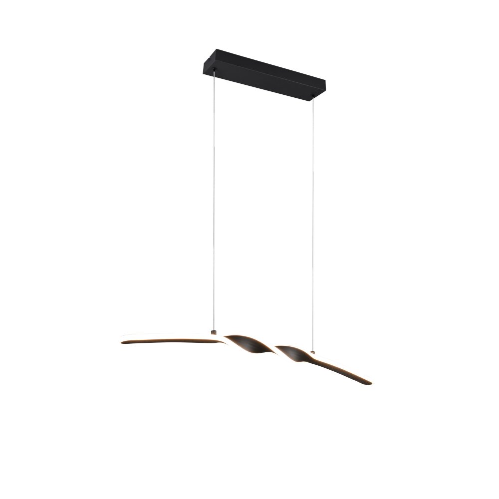 Reality Ginko Pendelleuchte LED Schwarz, 1-flammig main product photo
