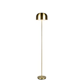Reality Jeff Stehlampe LED Messing, 1-flammig