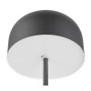 Reality Jeff Stehlampe LED Schwarz, 1-flammig
