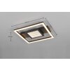 Reality Wheeler Deckenleuchte LED Schwarz, 1-flammig