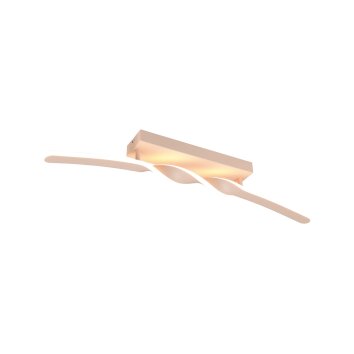 Reality Ginko Deckenleuchte LED Beige, 1-flammig