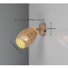 Reality Bidar Wand- und Deckenspot Braun, 1-flammig