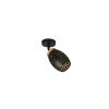 Reality Bidar Wand- und Deckenspot Schwarz-Gold, 1-flammig